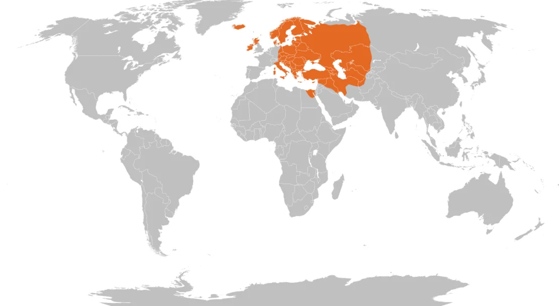 Verbreitungskarte: Nebelkrähe