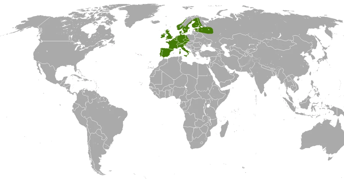 Verbreitungskarte: Igel