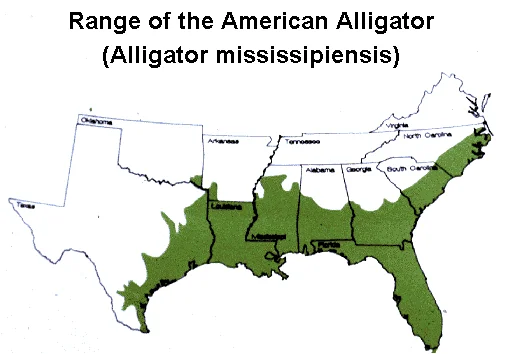 Verbreitungskarte: Mississippi Alligator